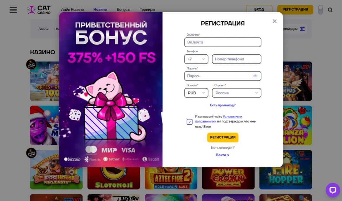 Как зарегистрироваться в казино Cat Casino 